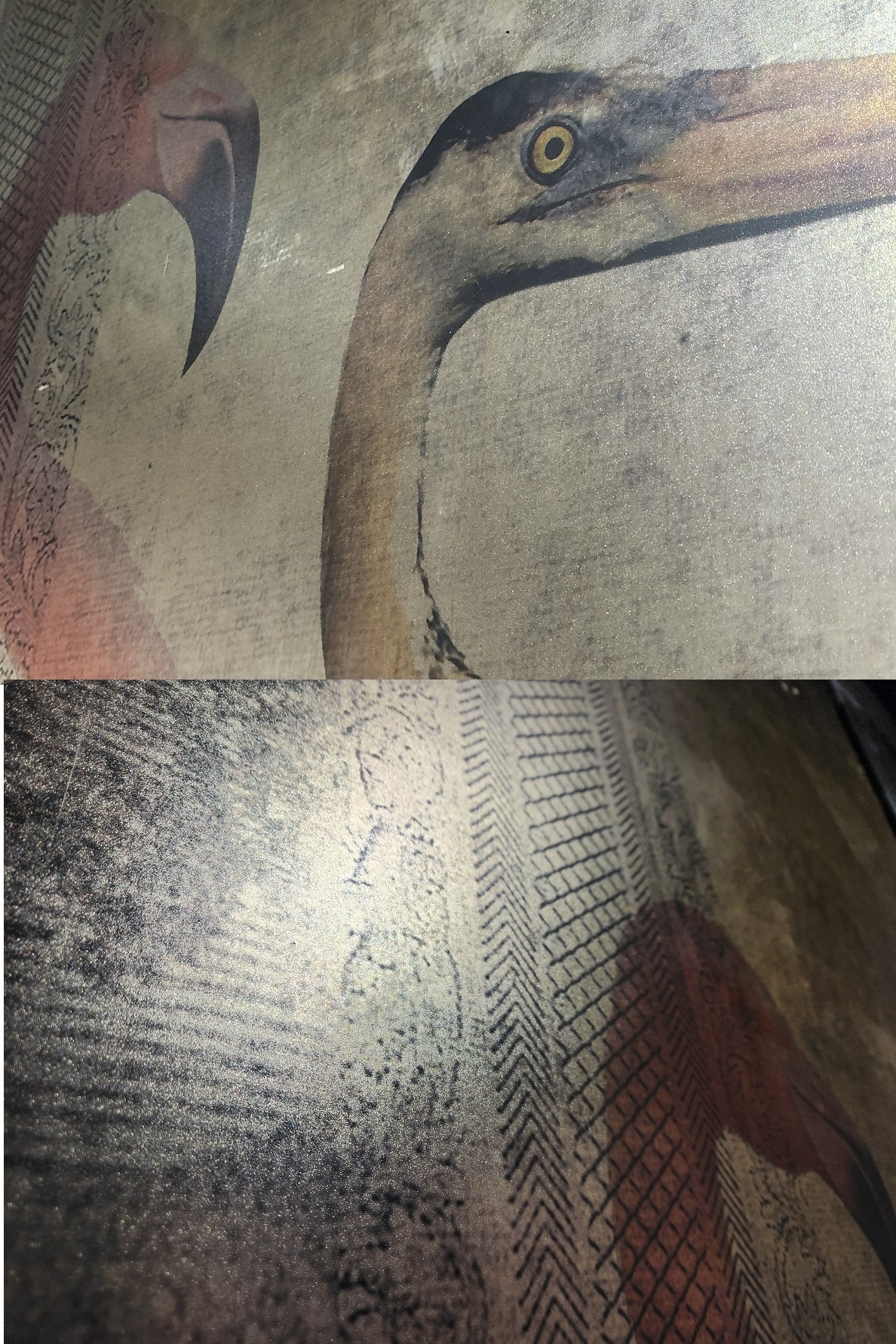 Mesmerizing Reflective Luxury Tissue from Milano